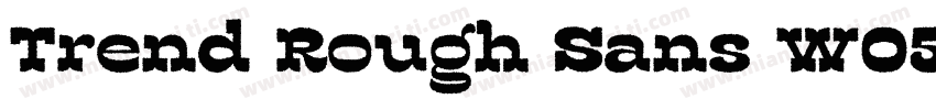 Trend Rough Sans W05 Five字体转换